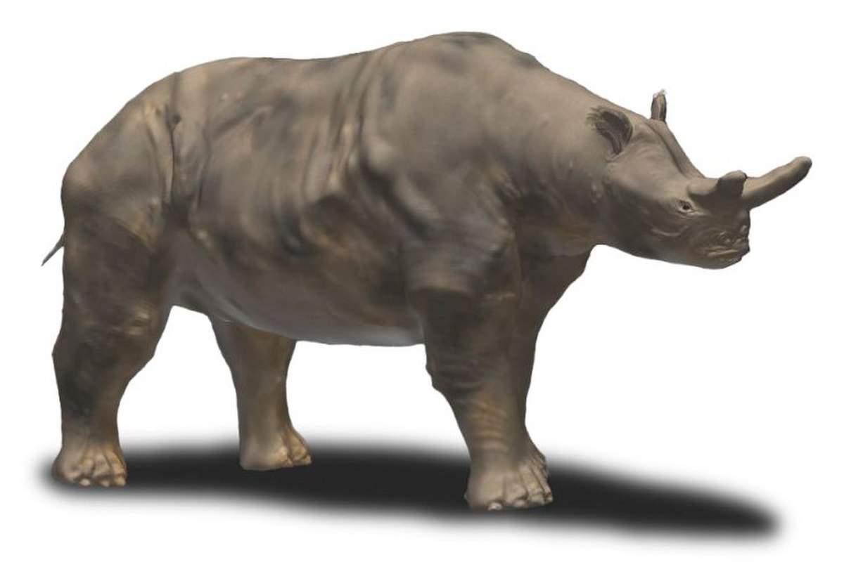 Brontotheriidae