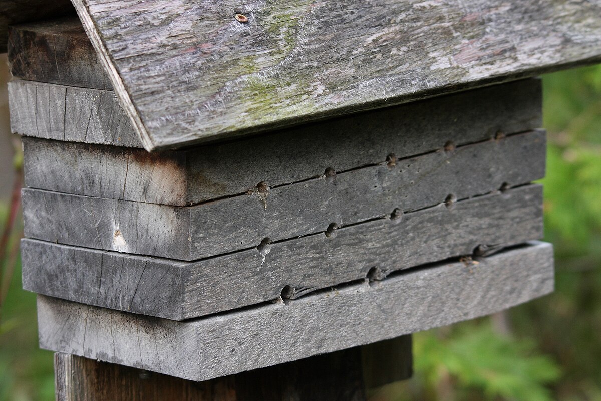 Megachile shelter 3.jpg