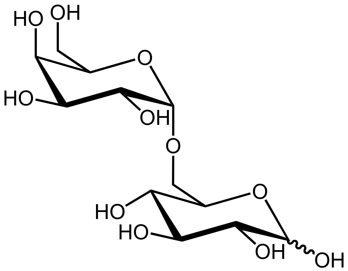 Mélibiose