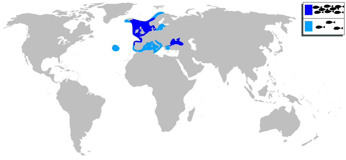 Merlangius merlangus mapa.svg
