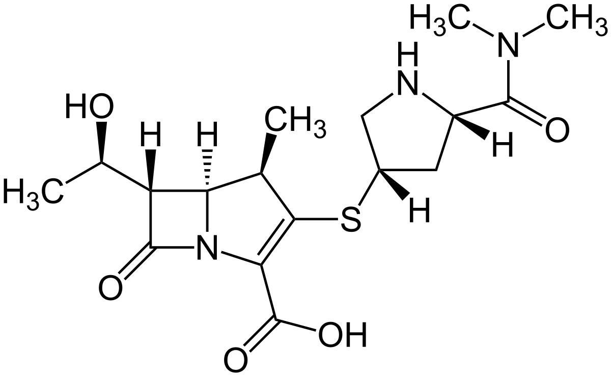 Méropénem