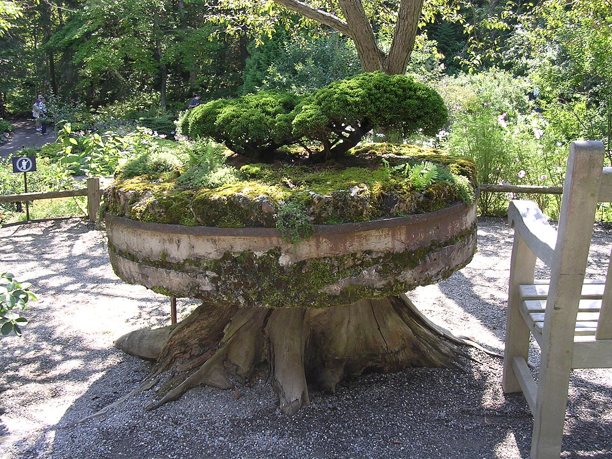 Meule du moulin banal du ruisseau à la Loutre, de Sainte-Luce, en 2006.