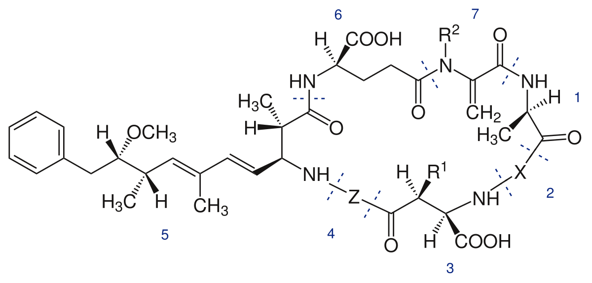 Cyanotoxine