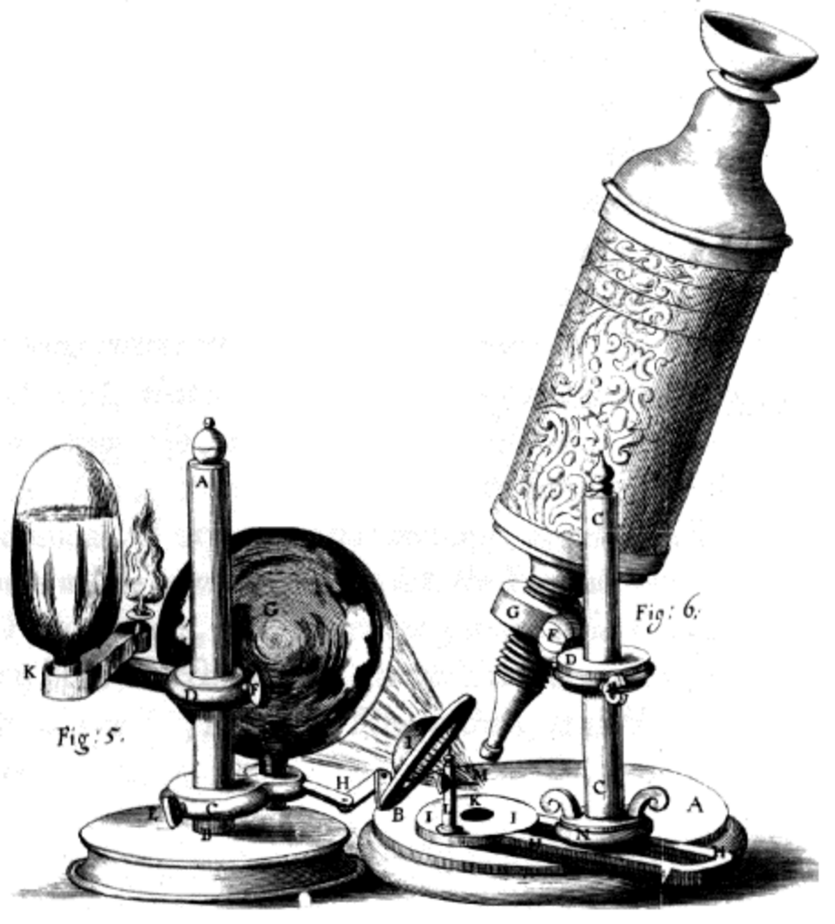 Robert Hooke
