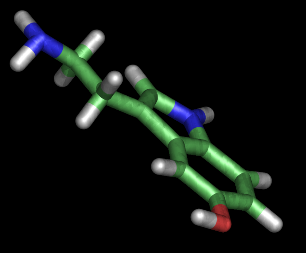 Sérotonine