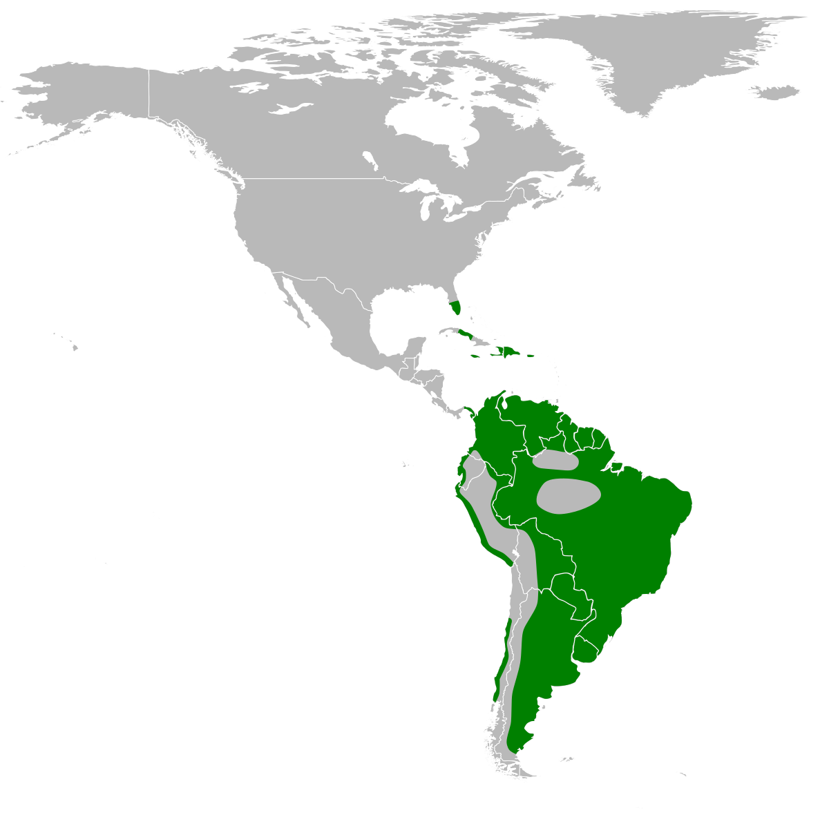 Répartition du Vacher luisant
