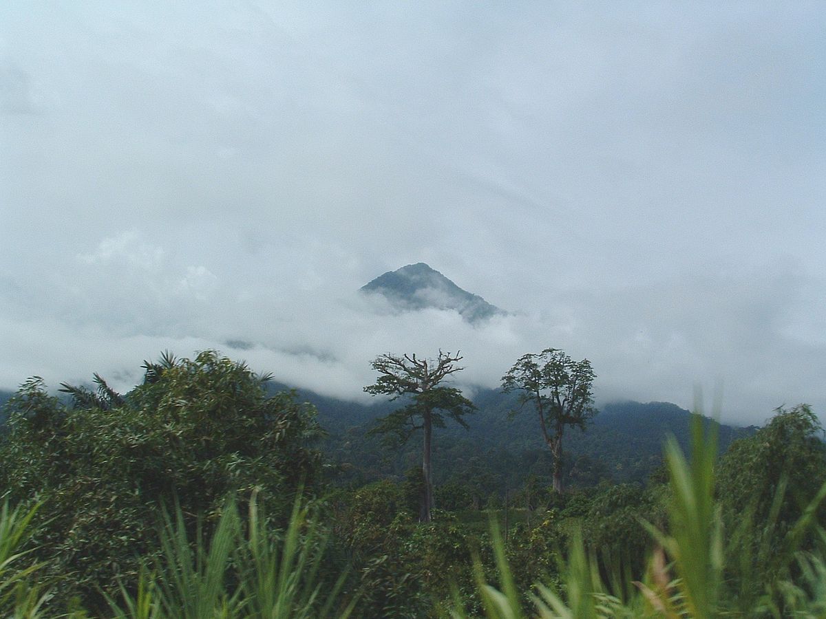 Mont Cameroun
