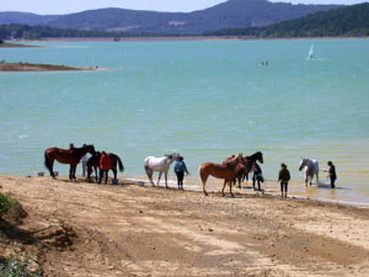 Barrage de Montbel