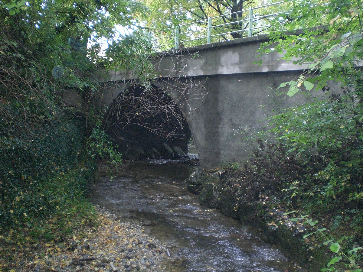 Moulins Drize.jpg
