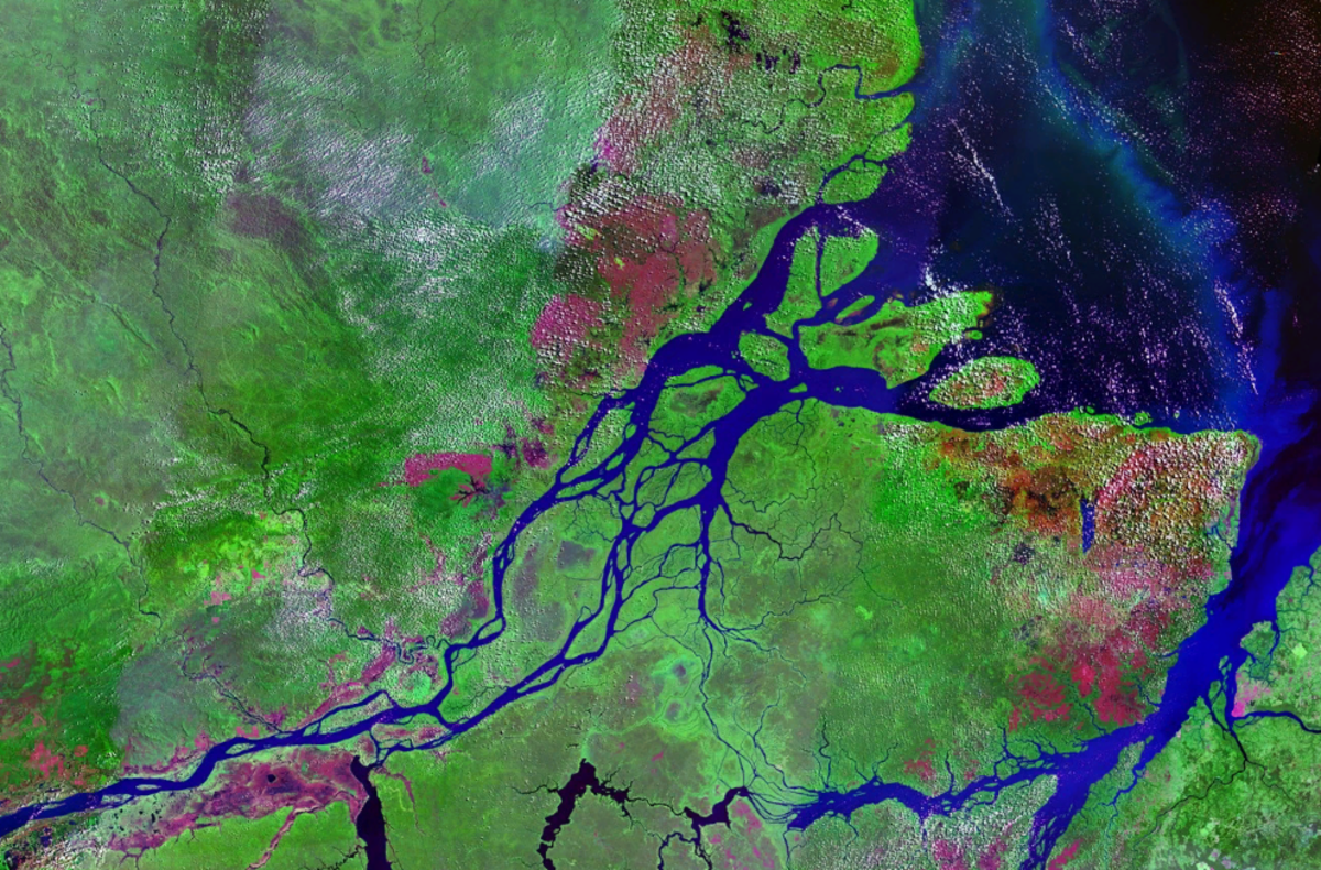 Milieu naturel des poissons d'eau douce