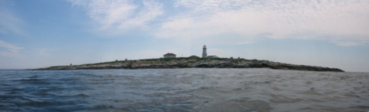 Refuge d'oiseaux de l'île Machias Seal