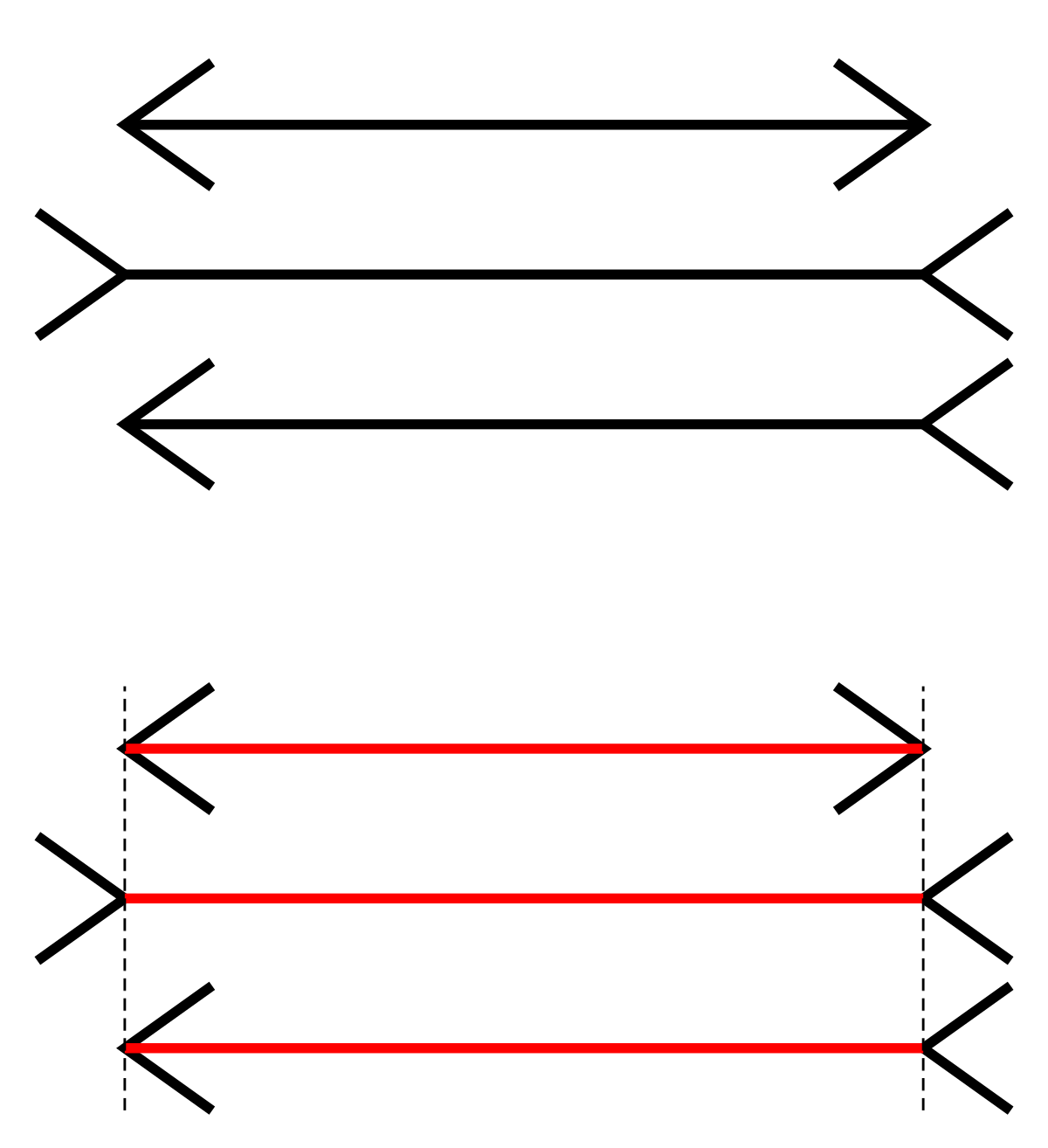 Illusion d'optique