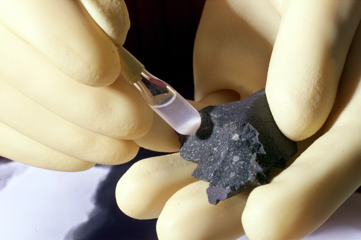 Murchison (météorite)
