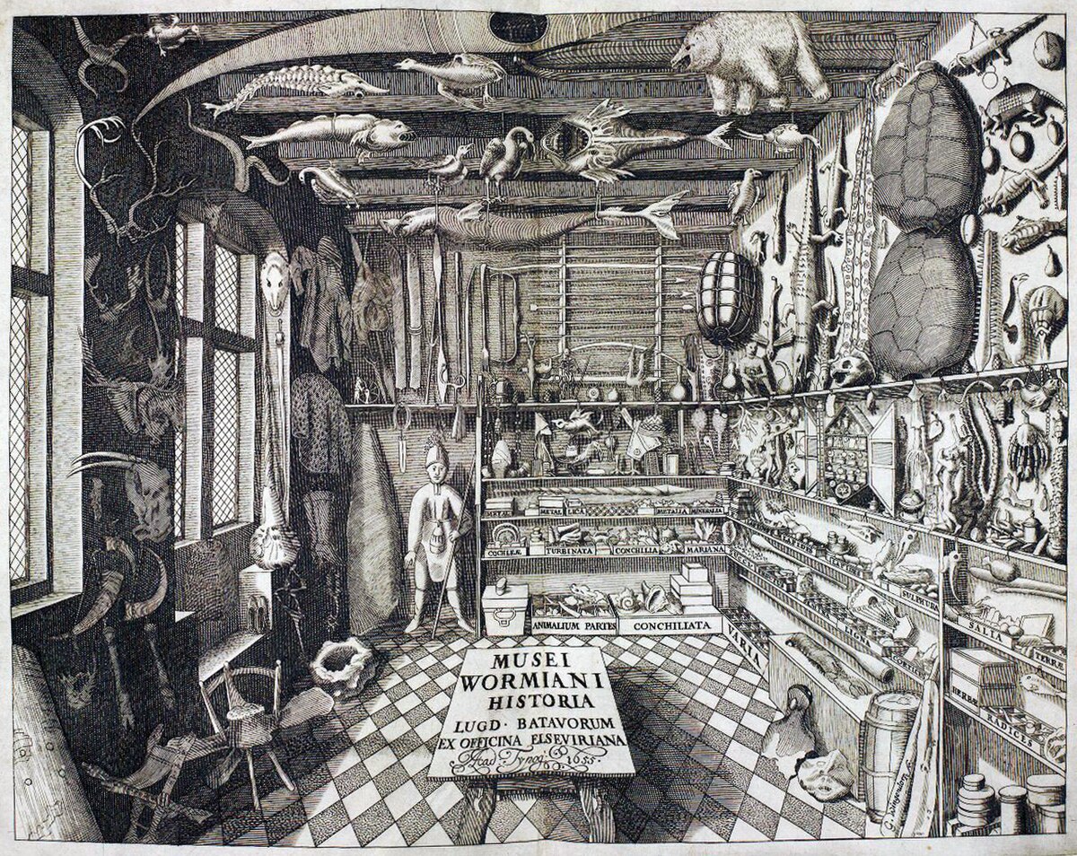 Cabinet de curiosités