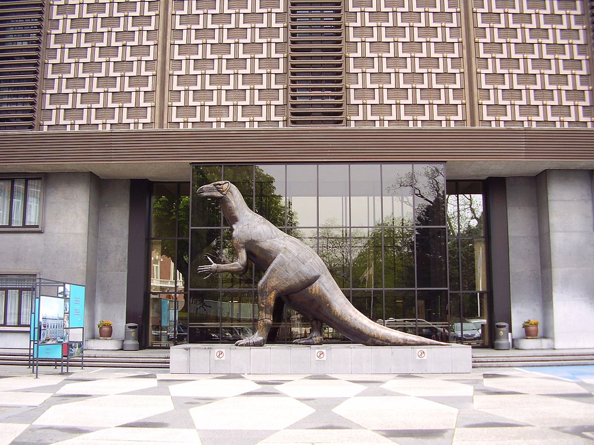 Muséum des sciences naturelles de Belgique