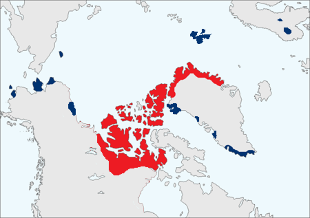 répartition, autour du pôle Nord :