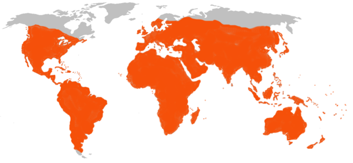 MyotisMap.png