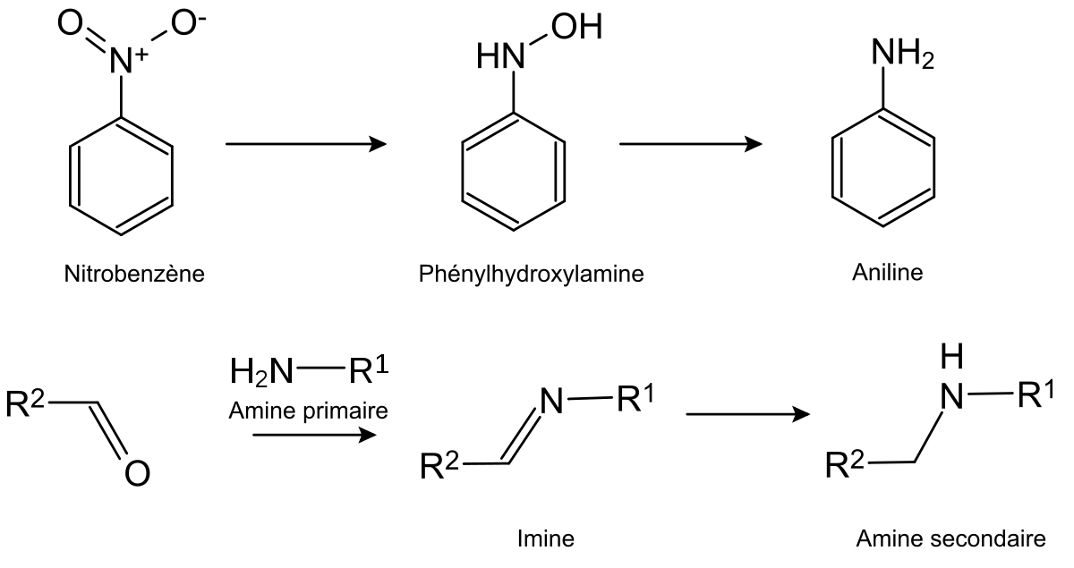 Hydrogénation de composés azotés
