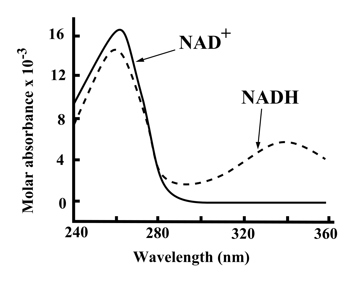 Spectrophotomètre