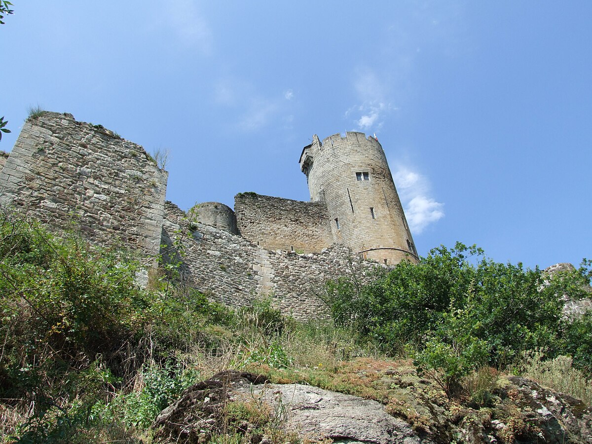 Najac - Château 04.jpg