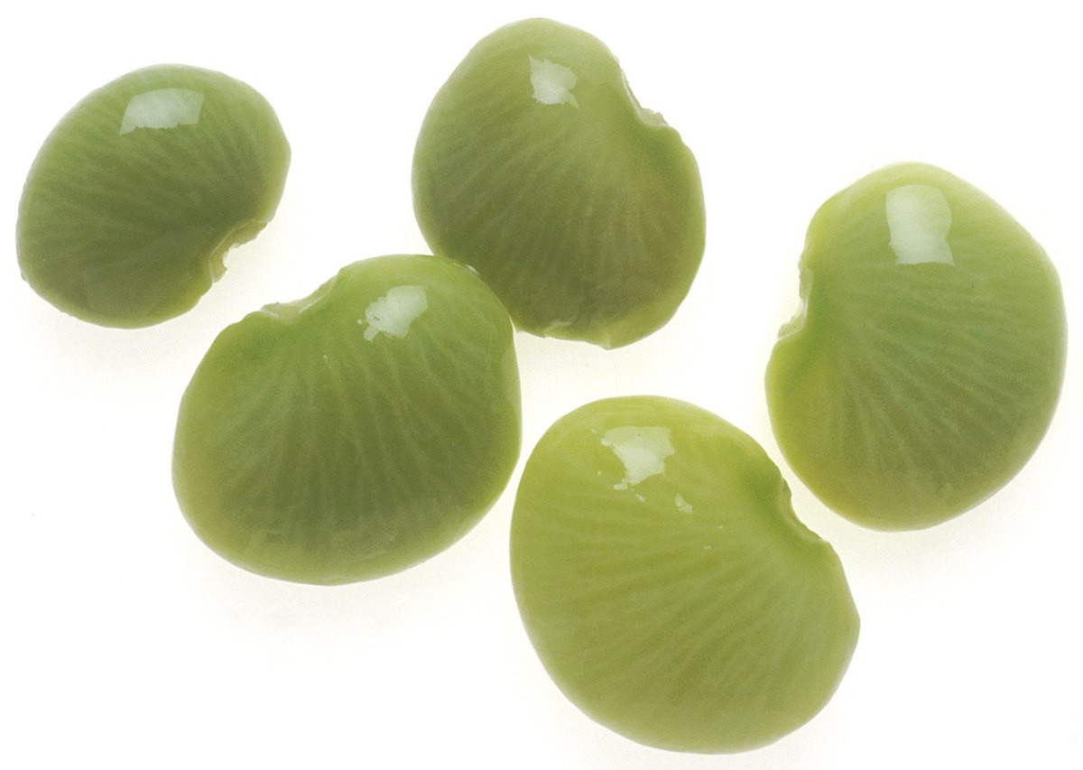 Graines de haricot de Lima