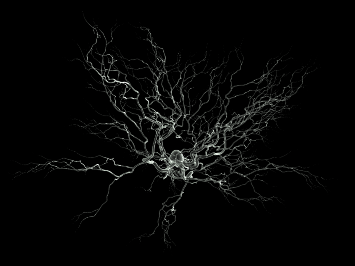 Neurone
