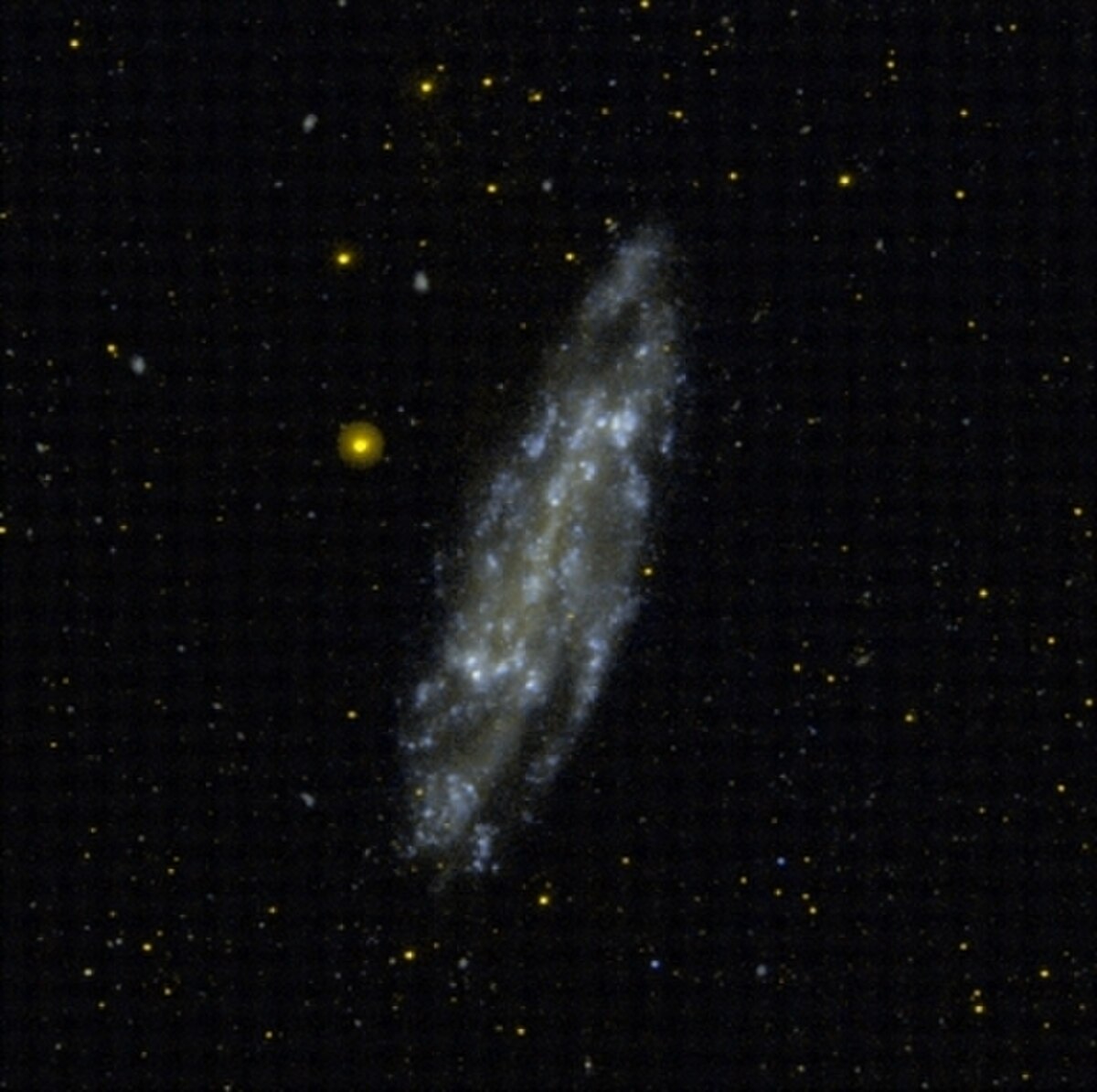 NGC 4236 I FUV g2006.jpg