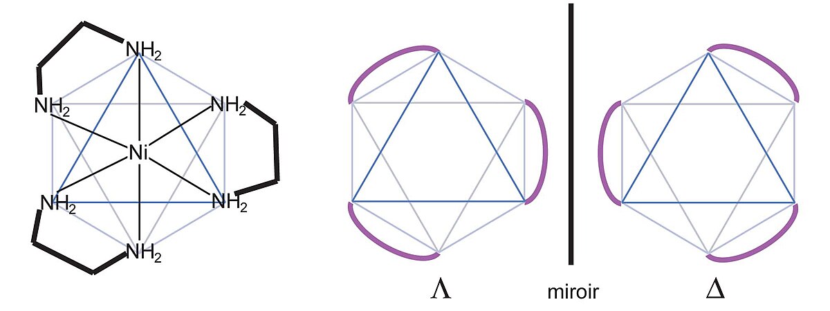 Nickel(éthylènediamine)3 et configurations énantiomorphes d'un complexe octaèdrique avec trois ligands bidentes.