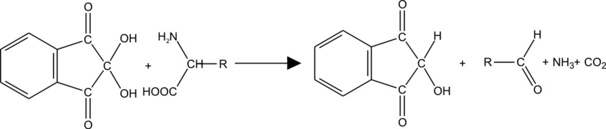 Nihydrine réaction1.png