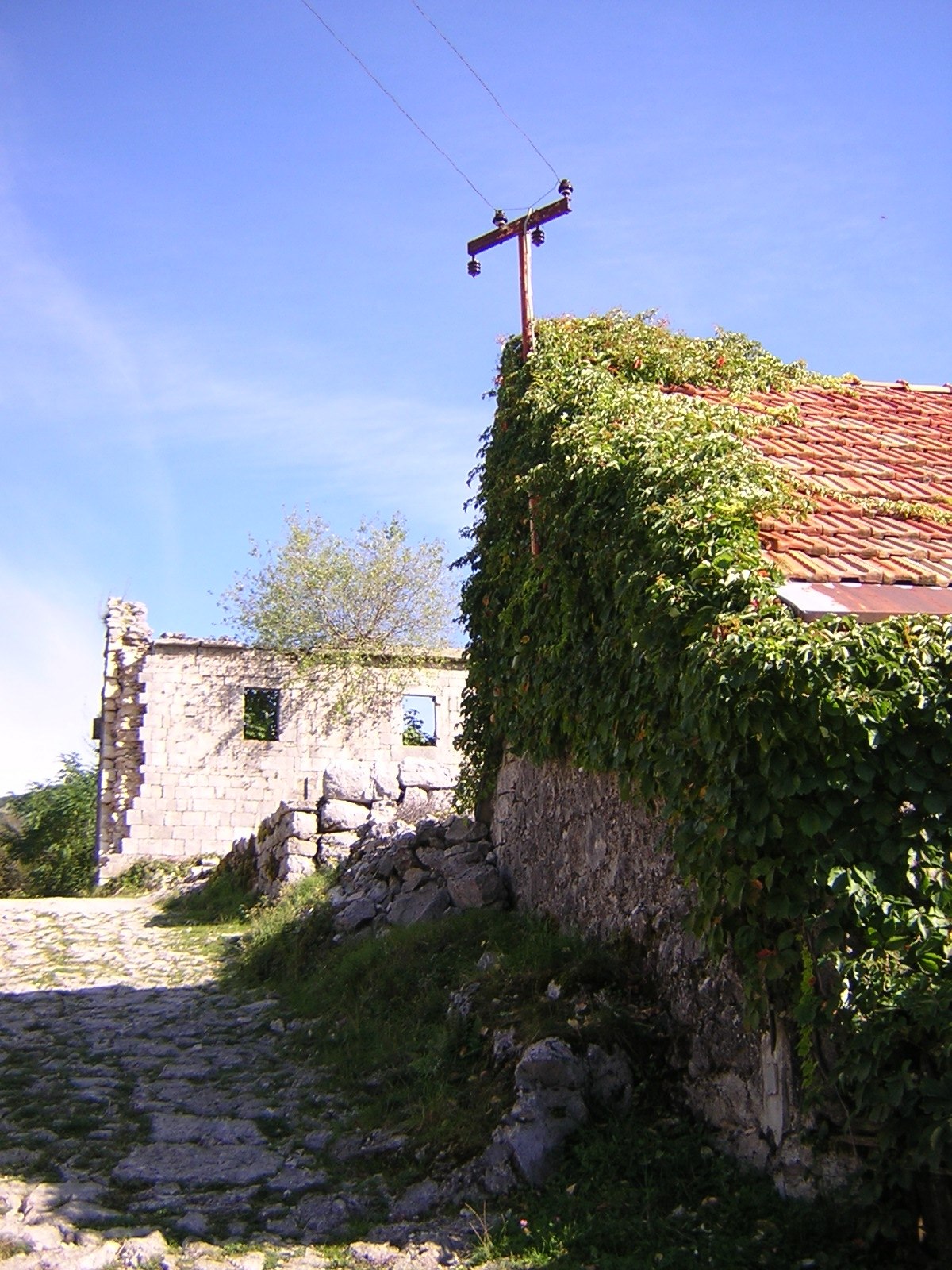Njeguši