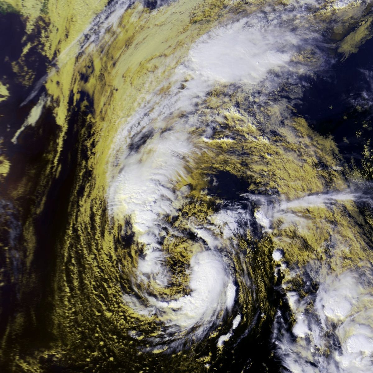 Ouragan Noel (2001)