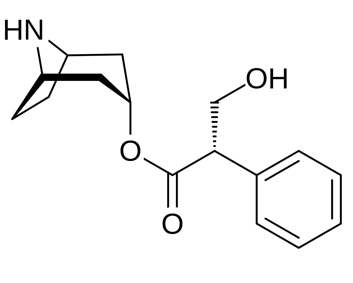 Norhyoscyamine.svg