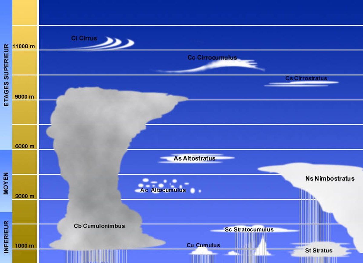 Aeronomy of Ice in the Mesosphere