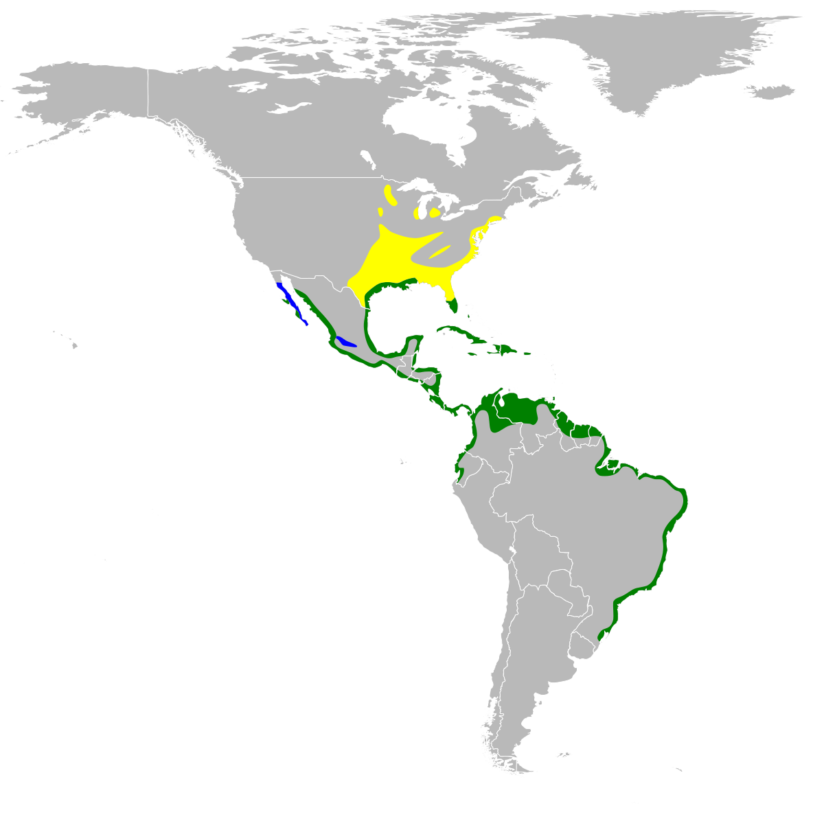Nyctanassa violacea map.svg