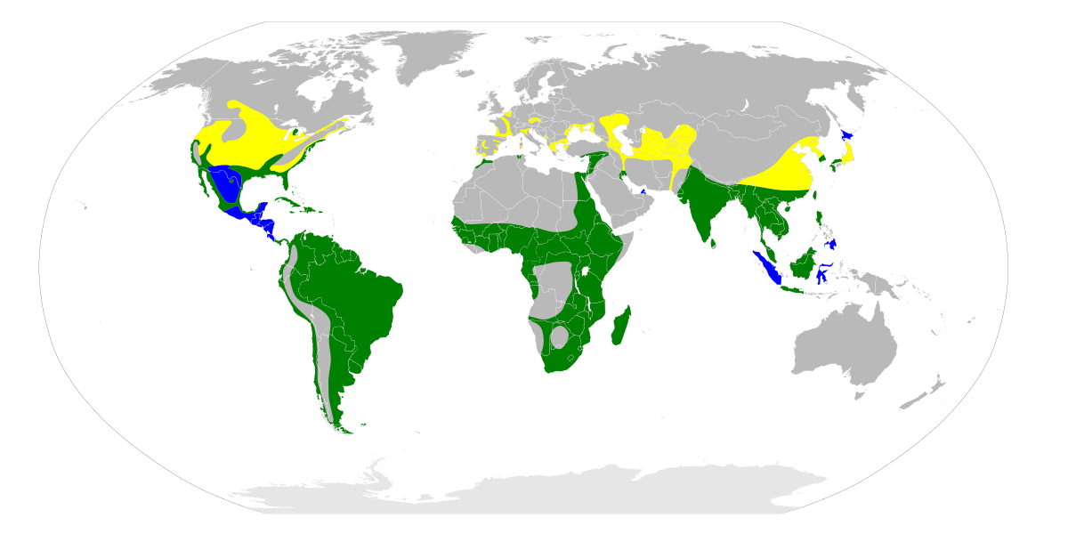 Nycticorax nycticorax map.svg