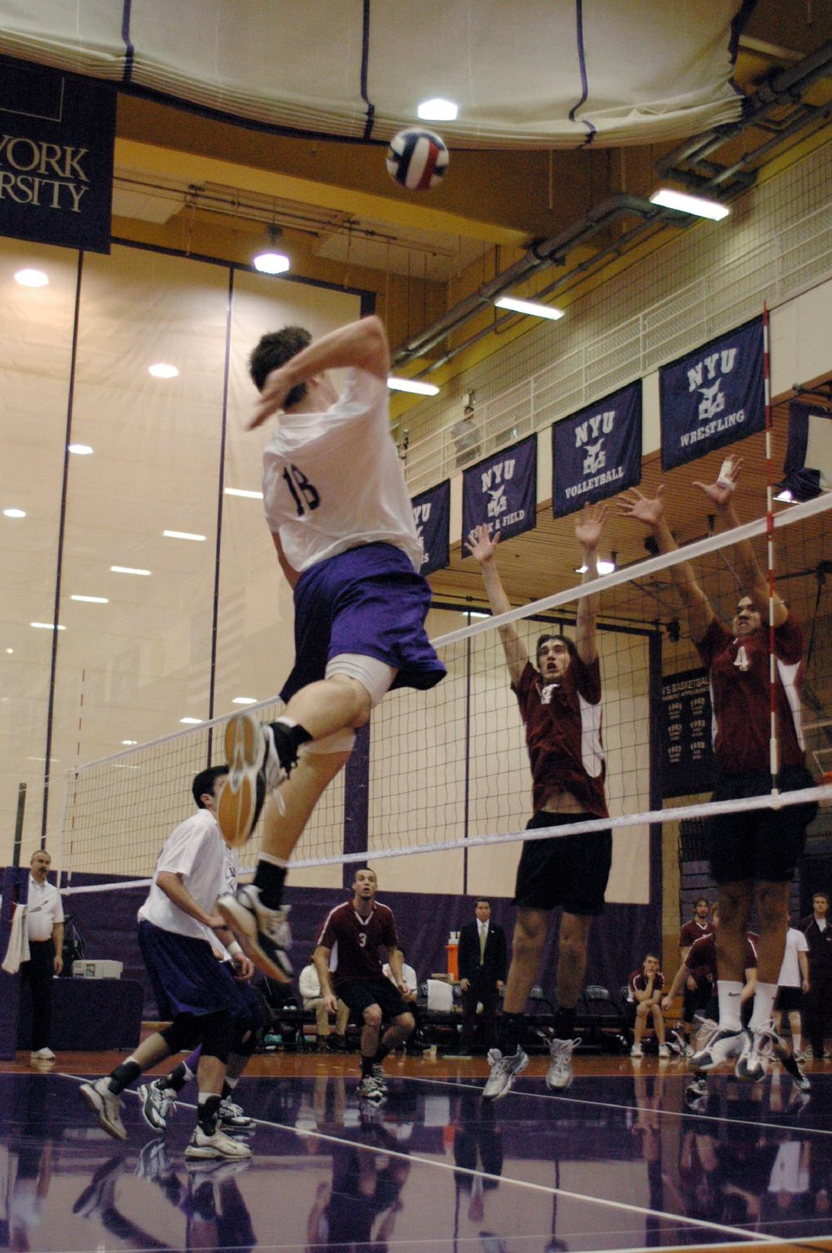 New York University Violets