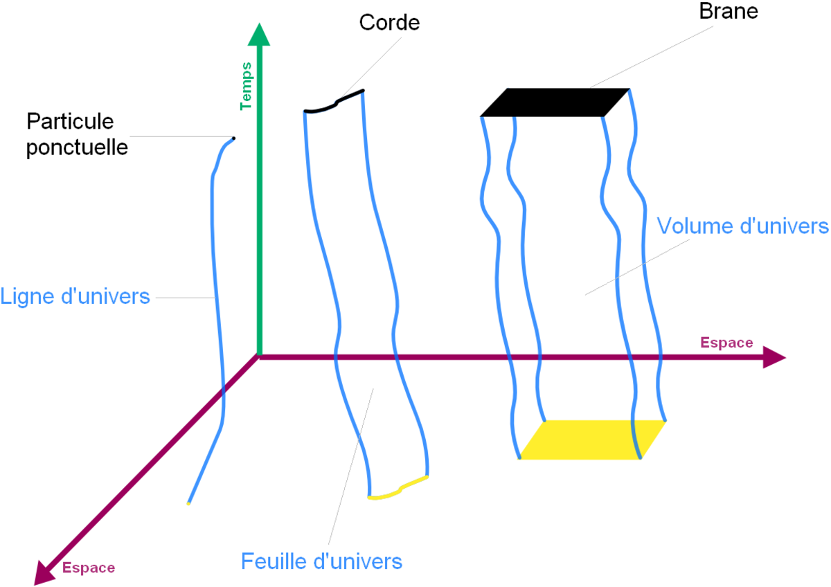 Ligne d'univers