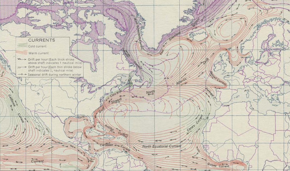 Mer des Sargasses