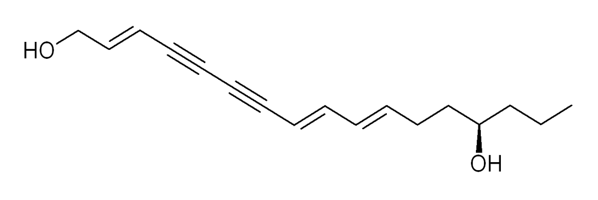 Structure moléculaire de l'œnanthotoxine