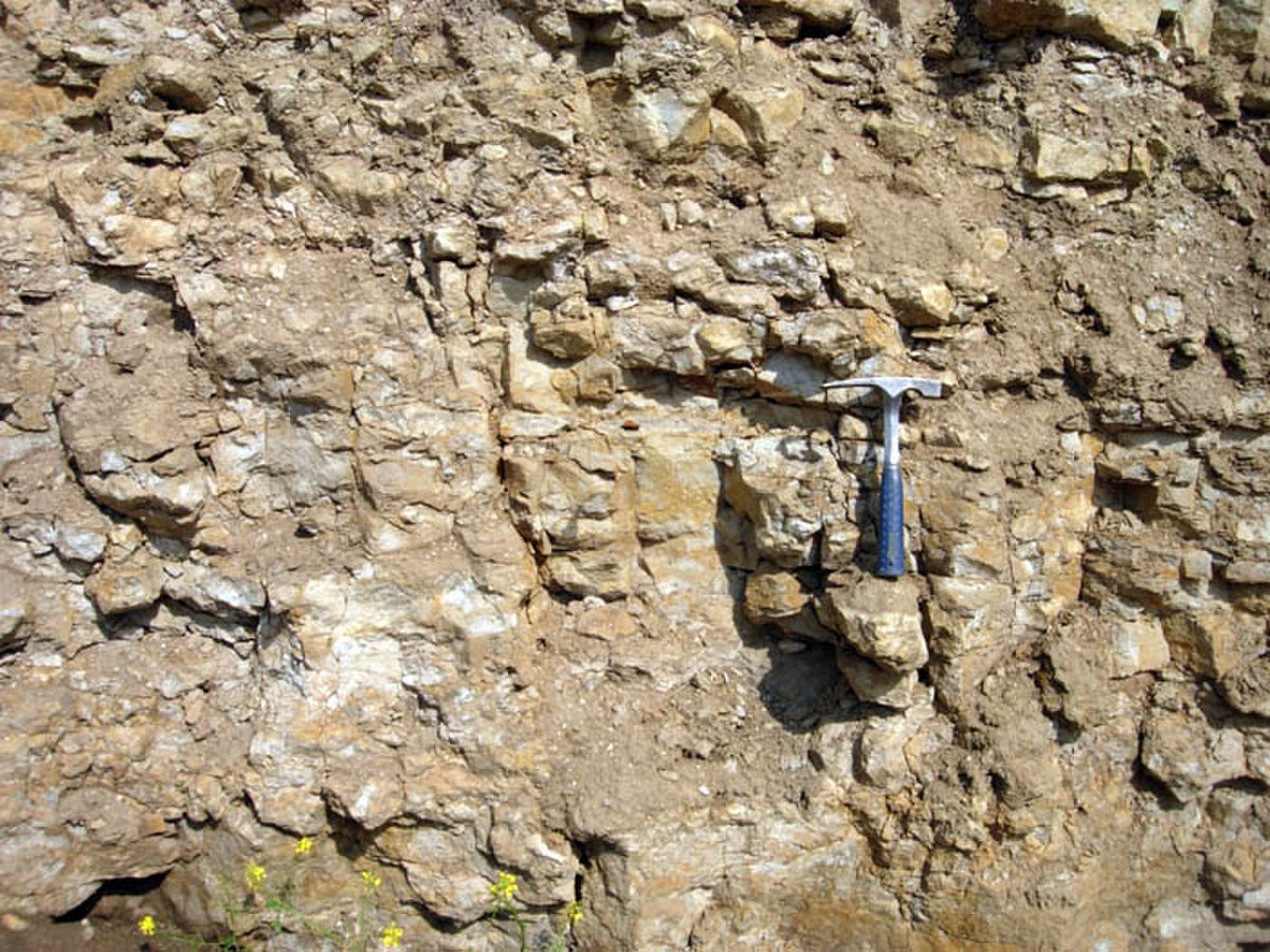 Schiste bitumineux