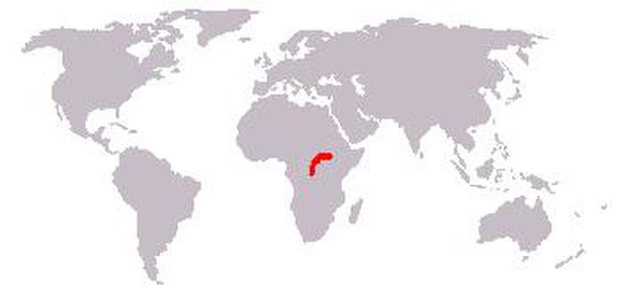 Okapi map.jpg