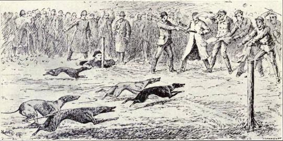 Old-time whippet race from 1915.JPG