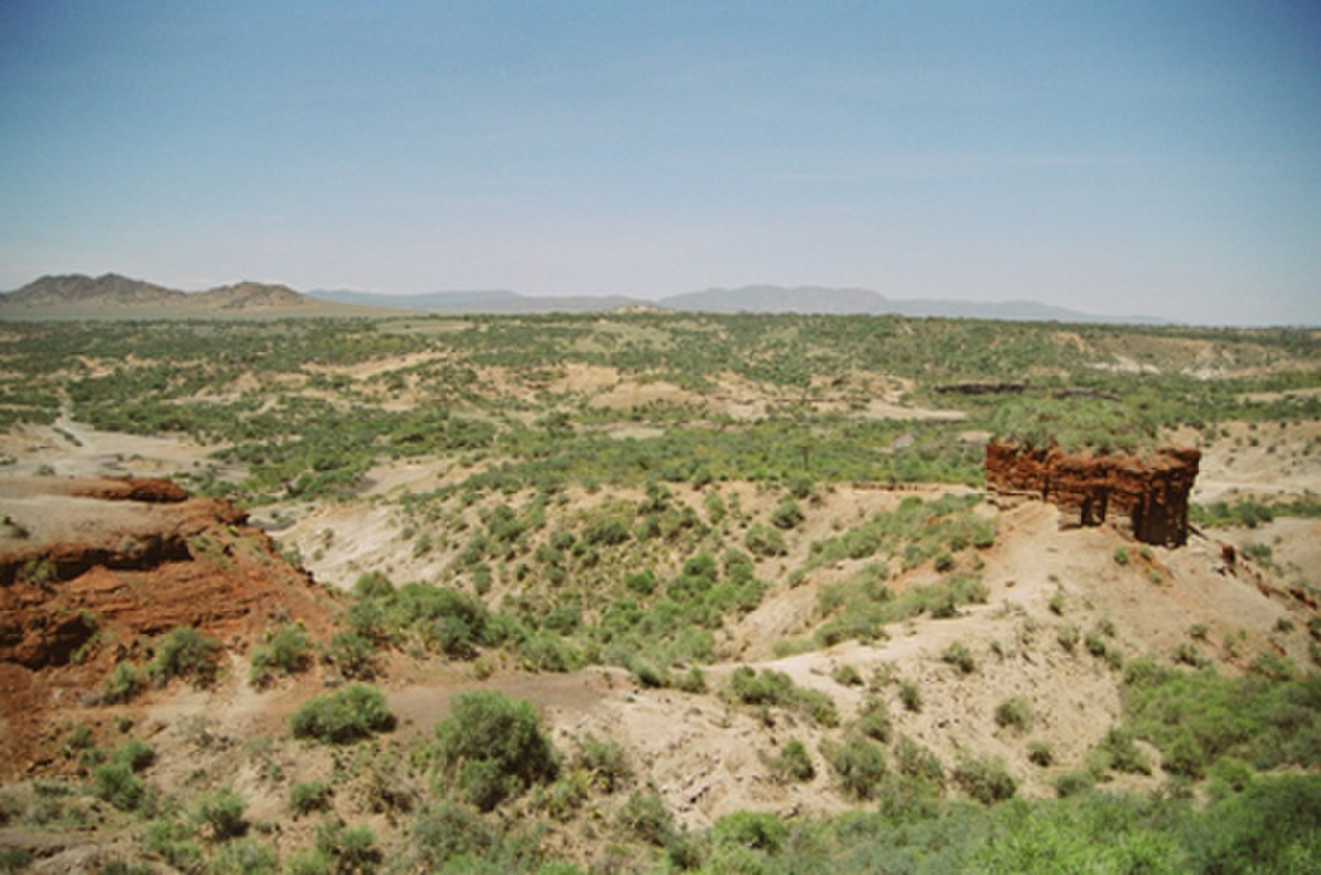 Gorges d'Olduvai