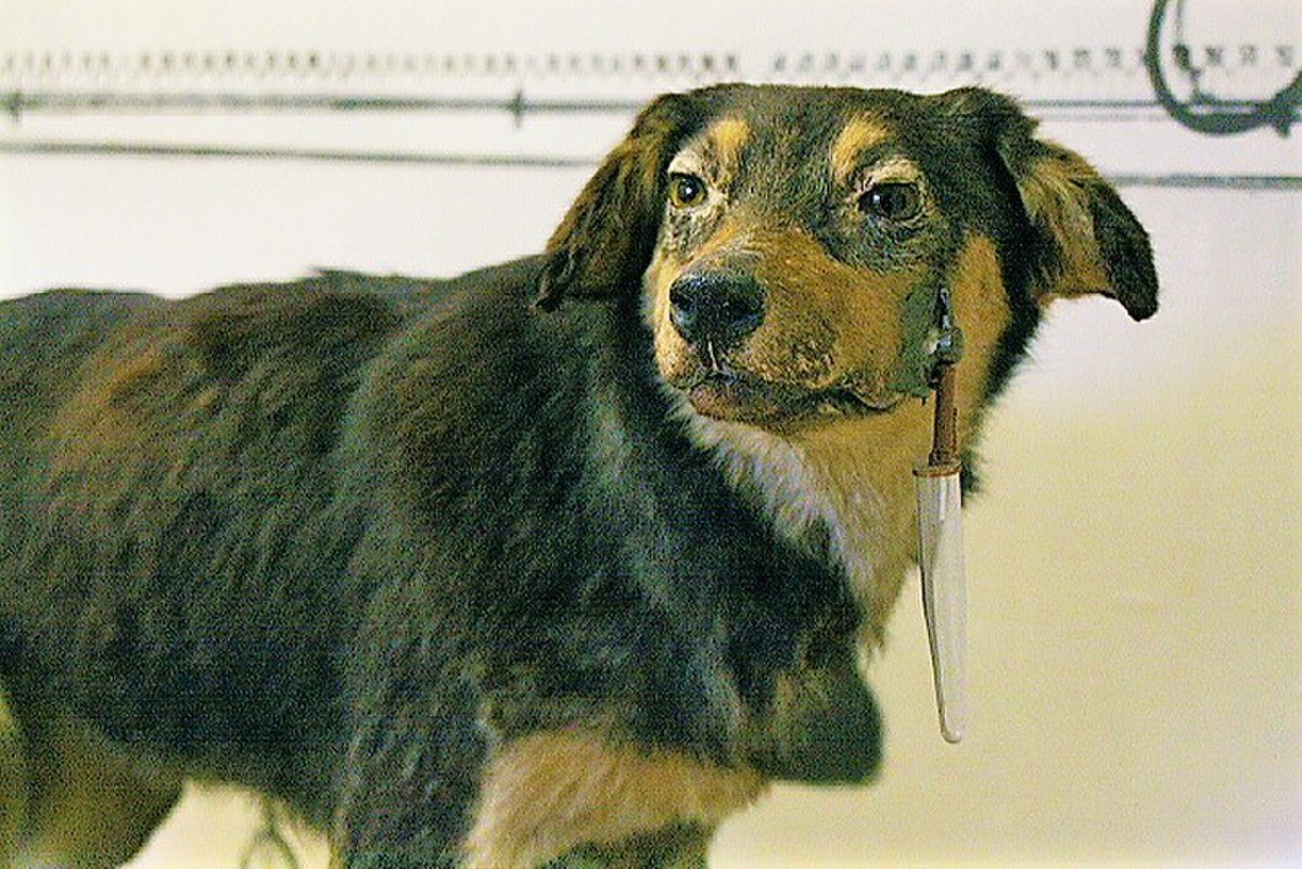 Ivan Pavlov