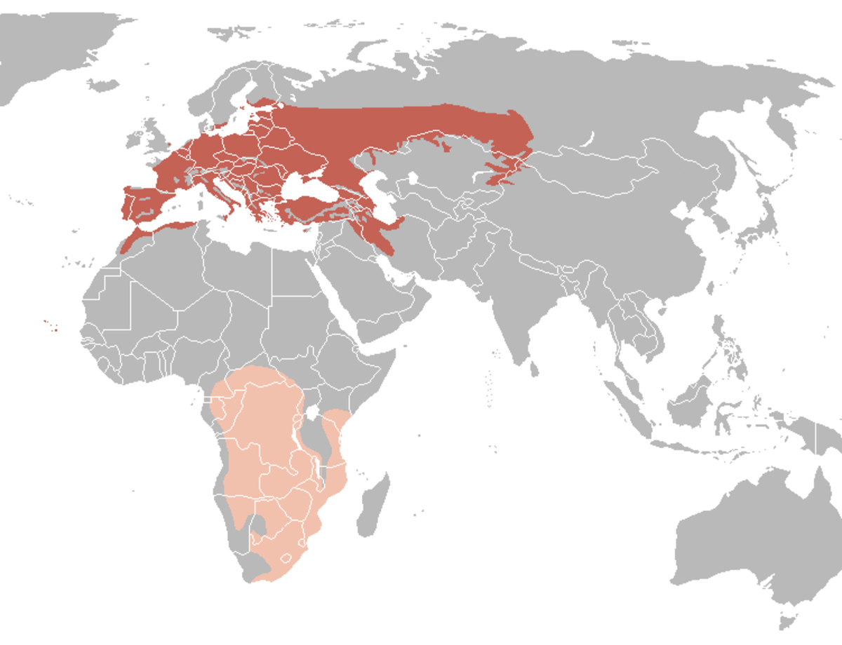 Oriolus oriolus distribution map.png