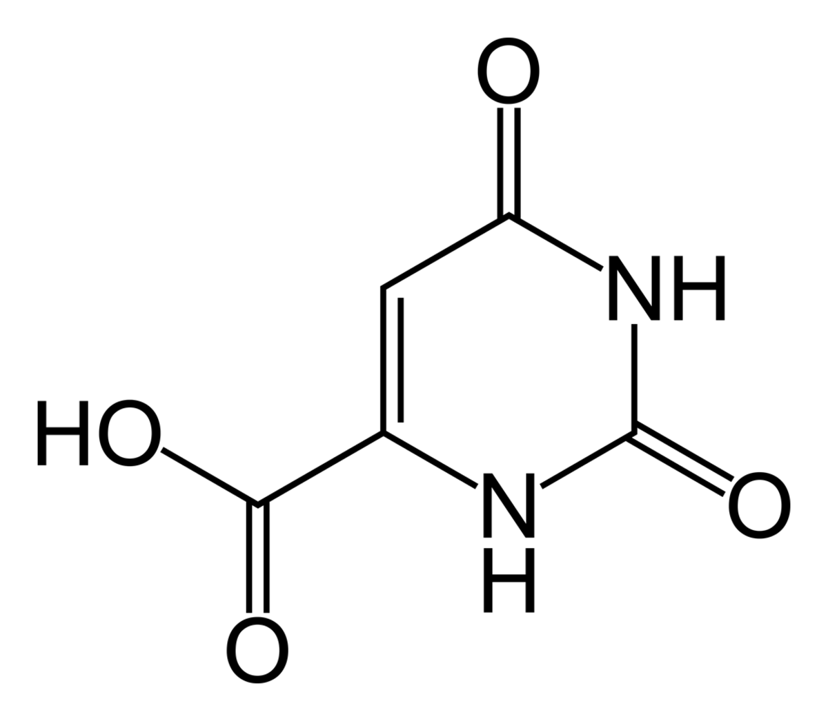Acide orotique