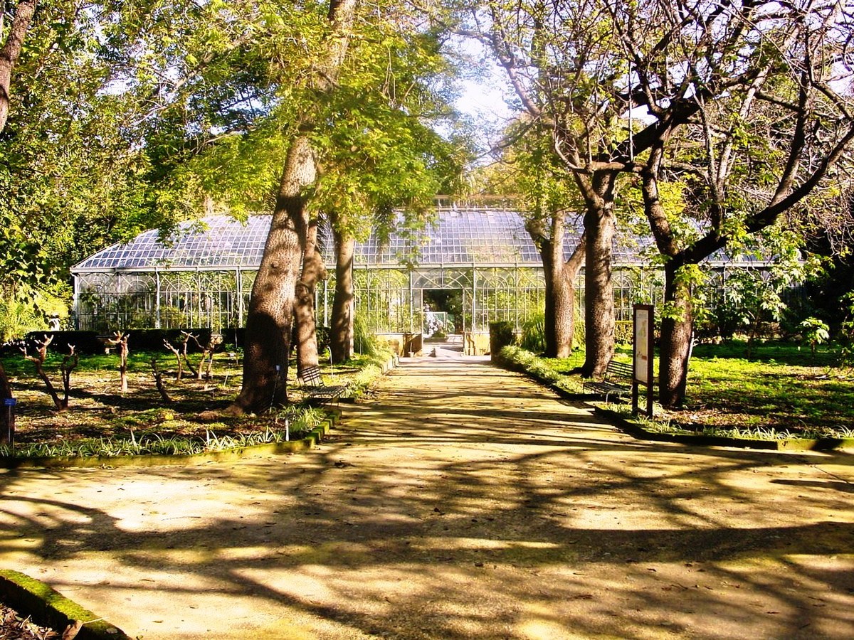 Orto botanico Palermo 01.jpg