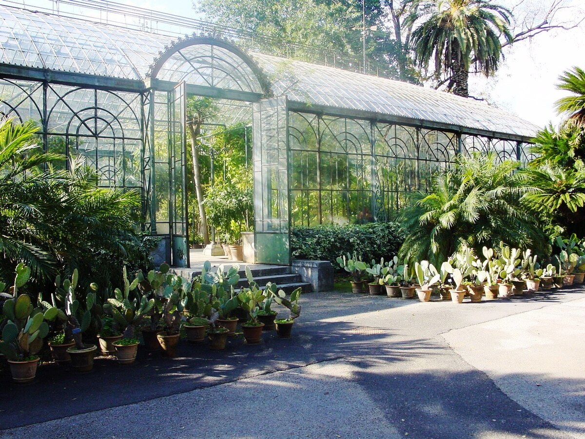 Orto botanico Palermo 02.jpg