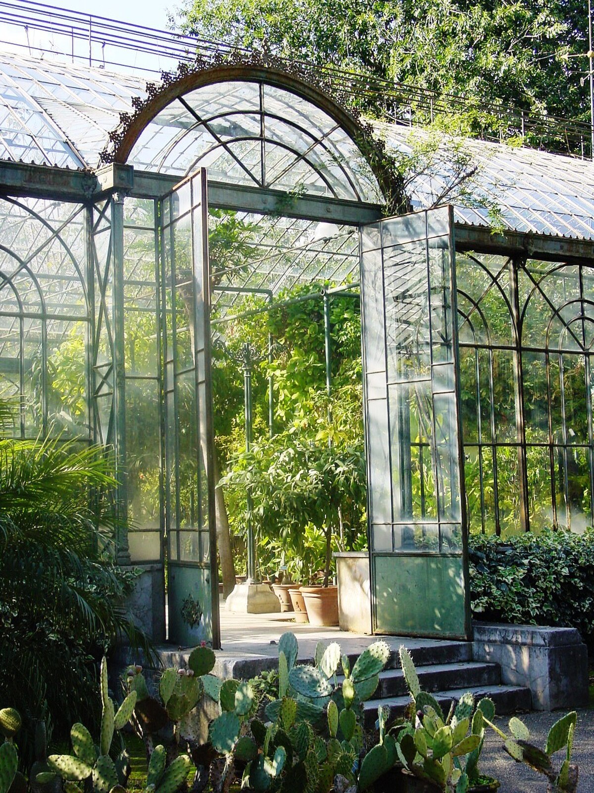Orto botanico Palermo 03.jpg