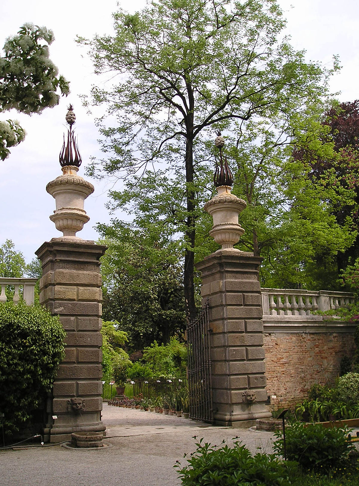 Jardin botanique de Padoue